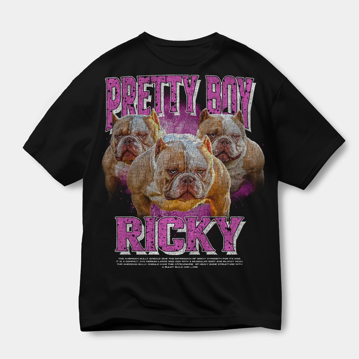 BOOTLEG PRETTY BOY RICKY T-SHIRT
