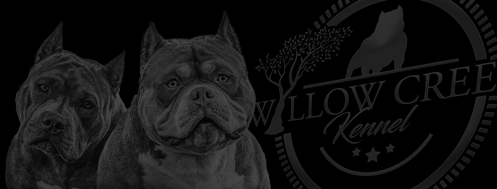 WILLOW CREEK KENNEL SHOP