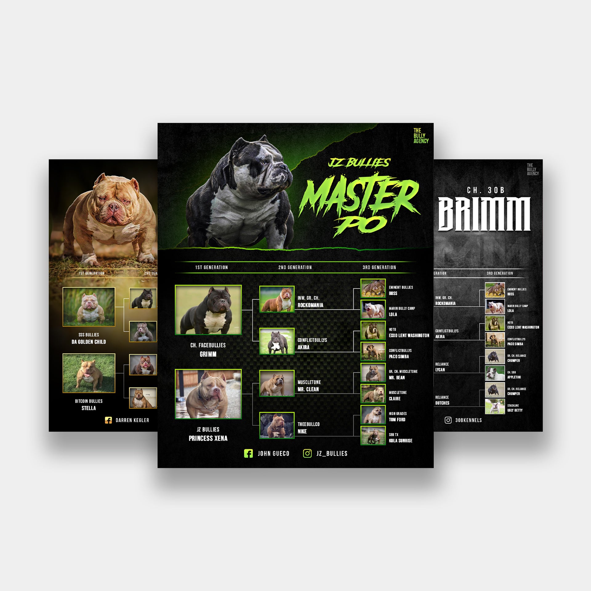 PEDIGREE BANNER – The Bully Agency